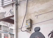 😡河南男子破坏黑神话墙绘被抓现行：紫蛛儿脑门被毁